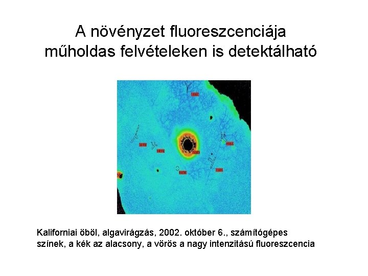 A növényzet fluoreszcenciája műholdas felvételeken is detektálható Kaliforniai öböl, algavirágzás, 2002. október 6. ,