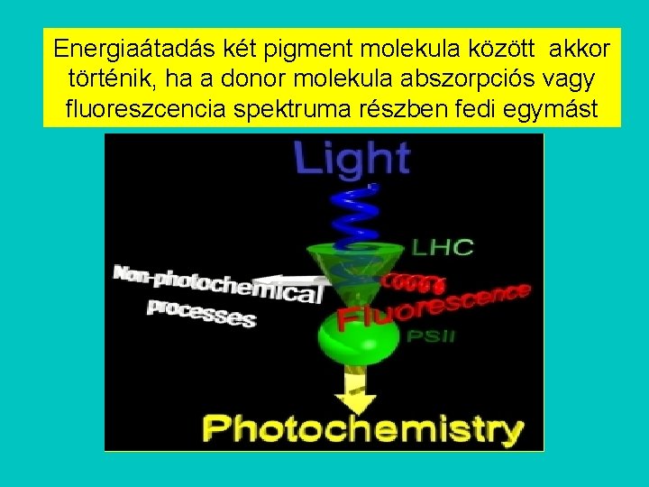 Energiaátadás két pigment molekula között akkor történik, ha a donor molekula abszorpciós vagy fluoreszcencia
