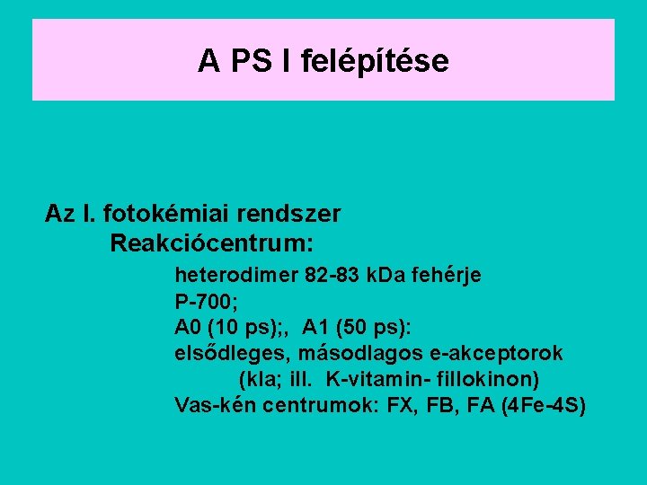 A PS I felépítése Az I. fotokémiai rendszer Reakciócentrum: heterodimer 82 -83 k. Da