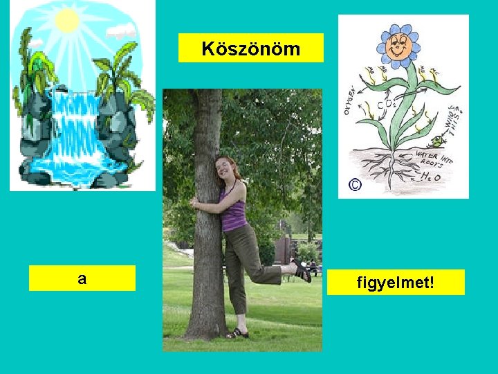 Köszönöm a figyelmet! 