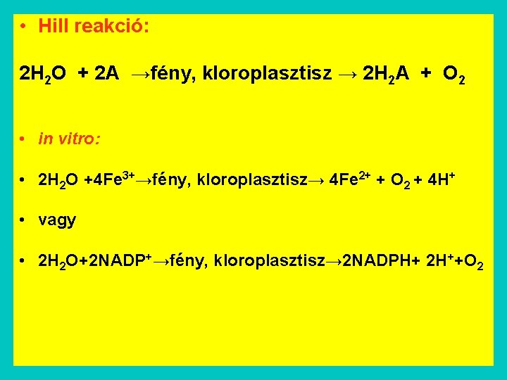  • Hill reakció: 2 H 2 O + 2 A →fény, kloroplasztisz →