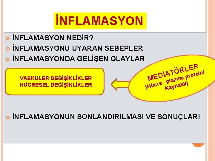 İNFLAMASYON NEDİR? İNFLAMASYONU UYARAN SEBEPLER İNFLAMASYONDA GELİŞEN OLAYLAR VASKULER DEĞİŞİKLİKLER HÜCRESEL DEĞİŞİKLİKLER ER i