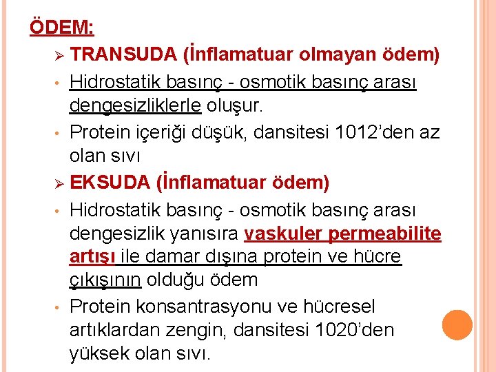 ÖDEM: Ø TRANSUDA (İnflamatuar olmayan ödem) • Hidrostatik basınç - osmotik basınç arası dengesizliklerle