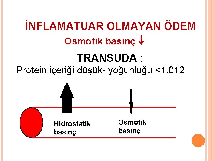 İNFLAMATUAR OLMAYAN ÖDEM Osmotik basınç TRANSUDA : Protein içeriği düşük- yoğunluğu <1. 012 Hidrostatik