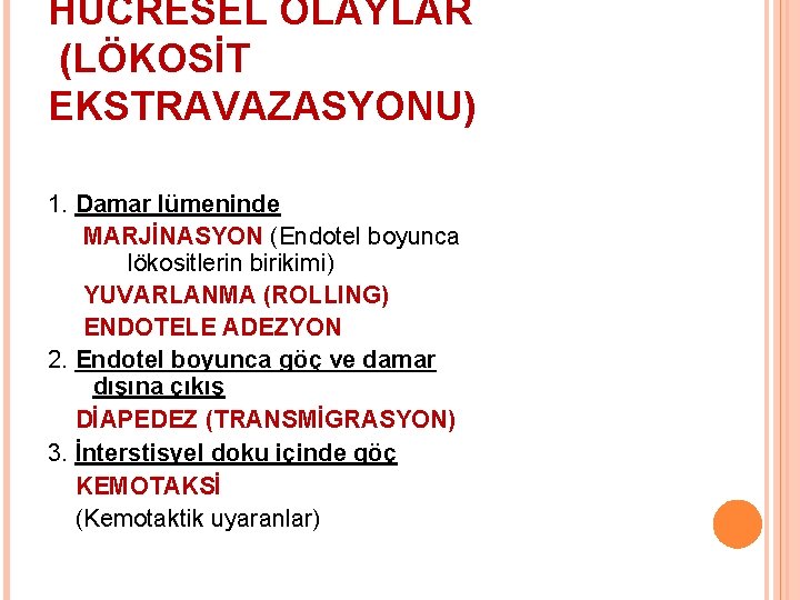 HÜCRESEL OLAYLAR (LÖKOSİT EKSTRAVAZASYONU) 1. Damar lümeninde MARJİNASYON (Endotel boyunca lökositlerin birikimi) YUVARLANMA (ROLLING)