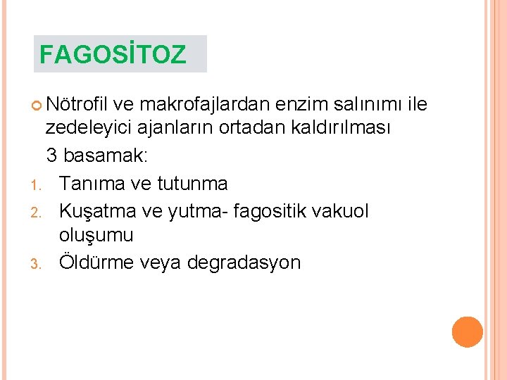 FAGOSİTOZ Nötrofil ve makrofajlardan enzim salınımı ile zedeleyici ajanların ortadan kaldırılması 3 basamak: 1.