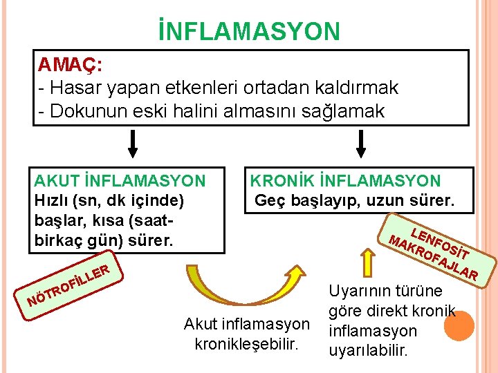 İNFLAMASYON AMAÇ: - Hasar yapan etkenleri ortadan kaldırmak - Dokunun eski halini almasını sağlamak