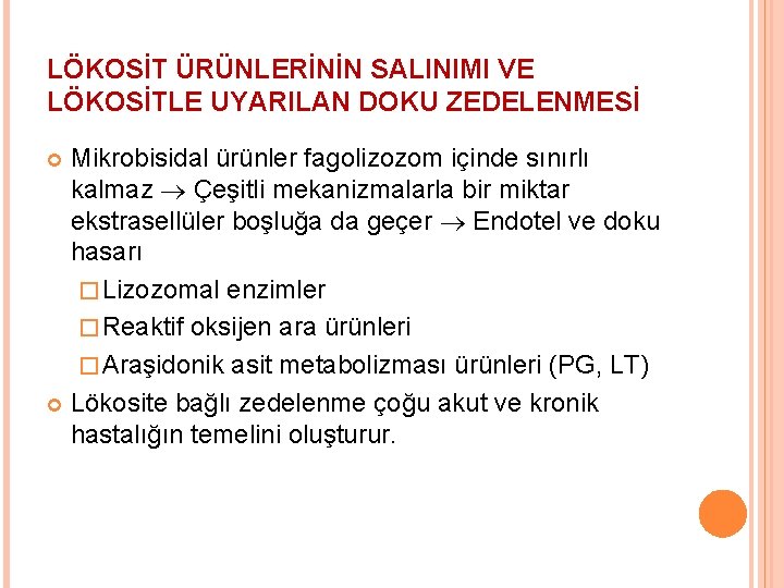 LÖKOSİT ÜRÜNLERİNİN SALINIMI VE LÖKOSİTLE UYARILAN DOKU ZEDELENMESİ Mikrobisidal ürünler fagolizozom içinde sınırlı kalmaz