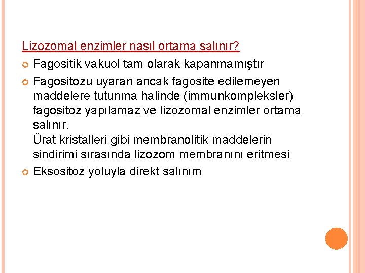 Lizozomal enzimler nasıl ortama salınır? Fagositik vakuol tam olarak kapanmamıştır Fagositozu uyaran ancak fagosite