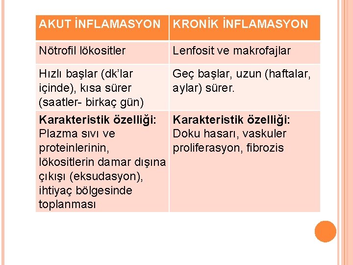 AKUT İNFLAMASYON KRONİK İNFLAMASYON Nötrofil lökositler Lenfosit ve makrofajlar Hızlı başlar (dk’lar içinde), kısa