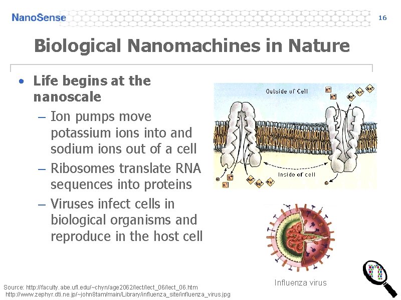 16 Biological Nanomachines in Nature • Life begins at the nanoscale – Ion pumps