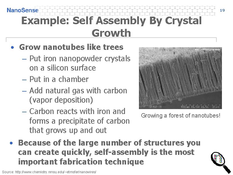 19 Example: Self Assembly By Crystal Growth • Grow nanotubes like trees – Put