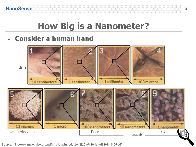 3 How Big is a Nanometer? • Consider a human hand skin white blood