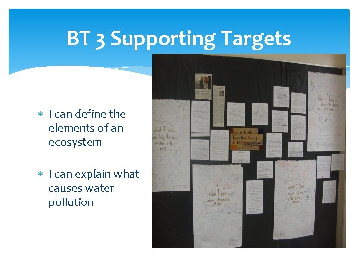 BT 3 Supporting Targets I can define the elements of an ecosystem I can BT 3 Supporting Targets I can define the elements of an ecosystem I can