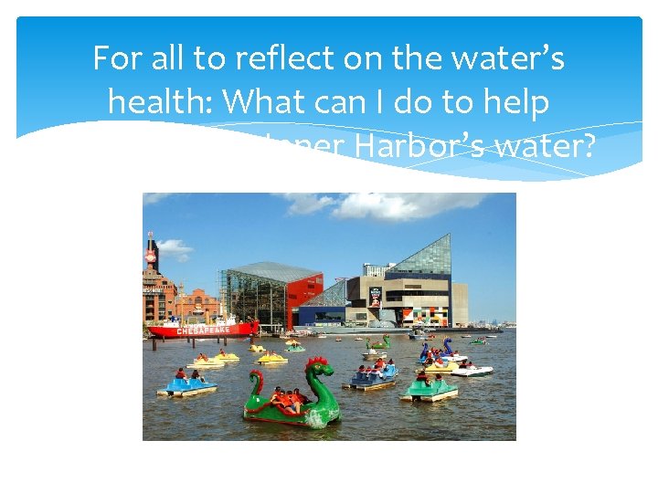For all to reflect on the water’s health: What can I do to help For all to reflect on the water’s health: What can I do to help