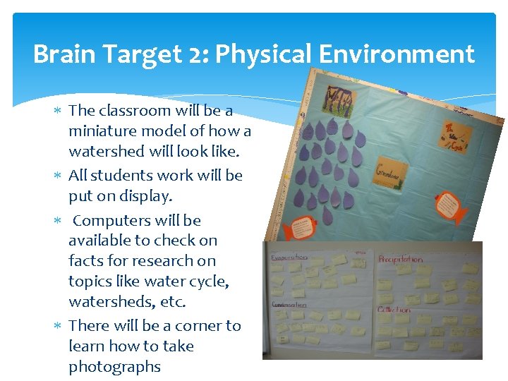 Brain Target 2: Physical Environment The classroom will be a miniature model of how Brain Target 2: Physical Environment The classroom will be a miniature model of how