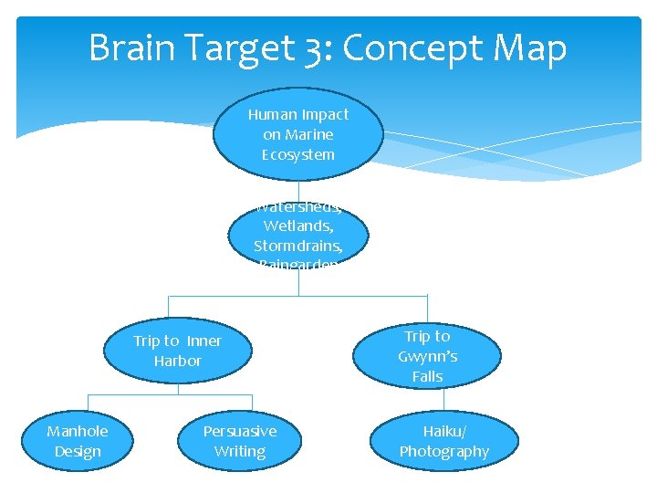 Brain Target 3: Concept Map Human Impact on Marine Ecosystem Watersheds, Wetlands, Stormdrains, Raingarden Brain Target 3: Concept Map Human Impact on Marine Ecosystem Watersheds, Wetlands, Stormdrains, Raingarden