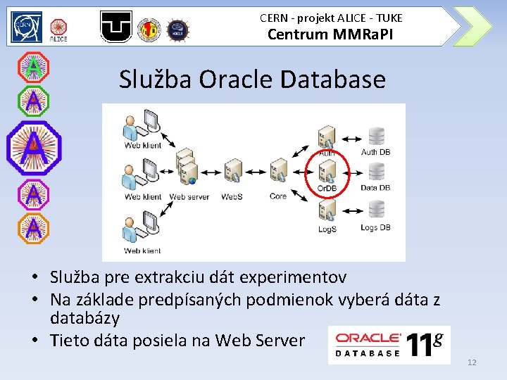 CERN - projekt ALICE - TUKE Centrum MMRa. PI Služba Oracle Database • Služba