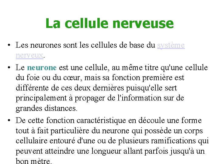 La cellule nerveuse • Les neurones sont les cellules de base du système nerveux.