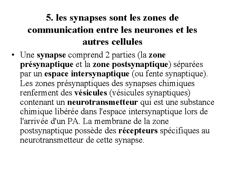 5. les synapses sont les zones de communication entre les neurones et les autres