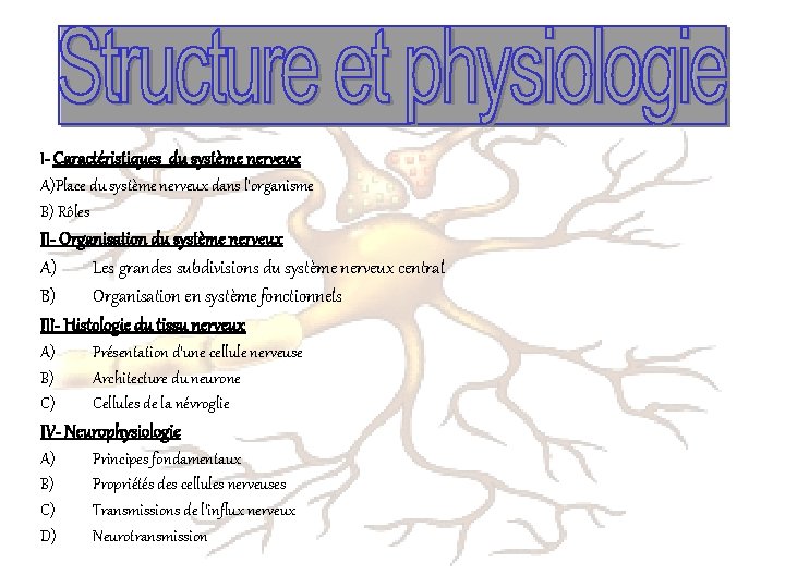 I- Caractéristiques du système nerveux A)Place du système nerveux dans l’organisme B) Rôles II-