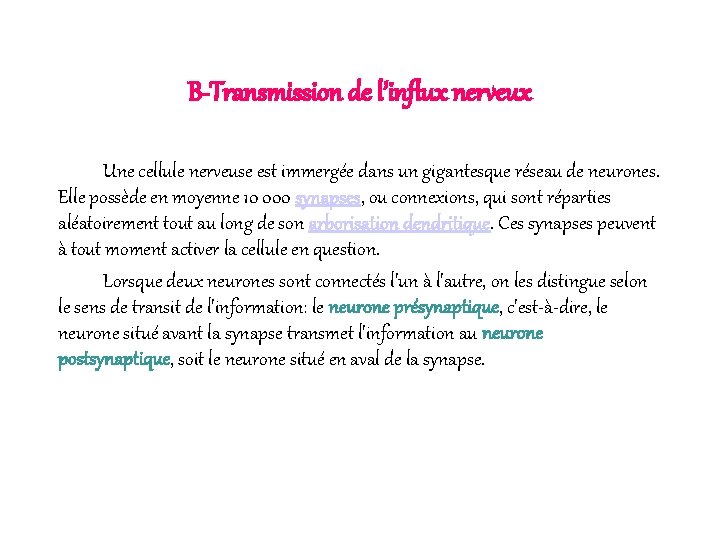 B-Transmission de l’influx nerveux Une cellule nerveuse est immergée dans un gigantesque réseau de