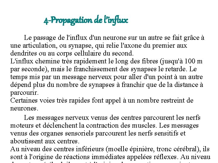 4 -Propagation de l’influx Le passage de l'influx d'un neurone sur un autre se