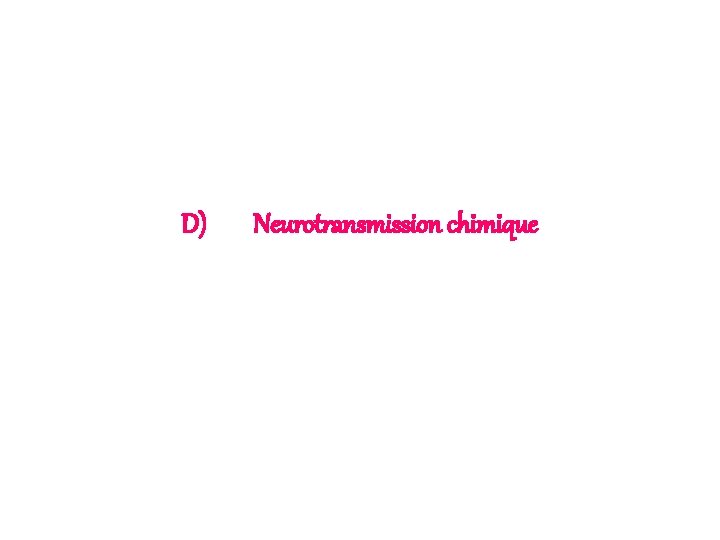 D) Neurotransmission chimique 