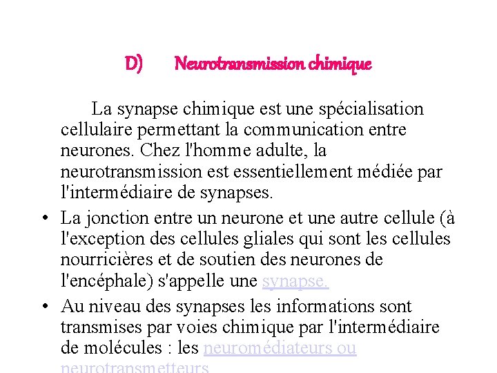 D) Neurotransmission chimique La synapse chimique est une spécialisation cellulaire permettant la communication entre