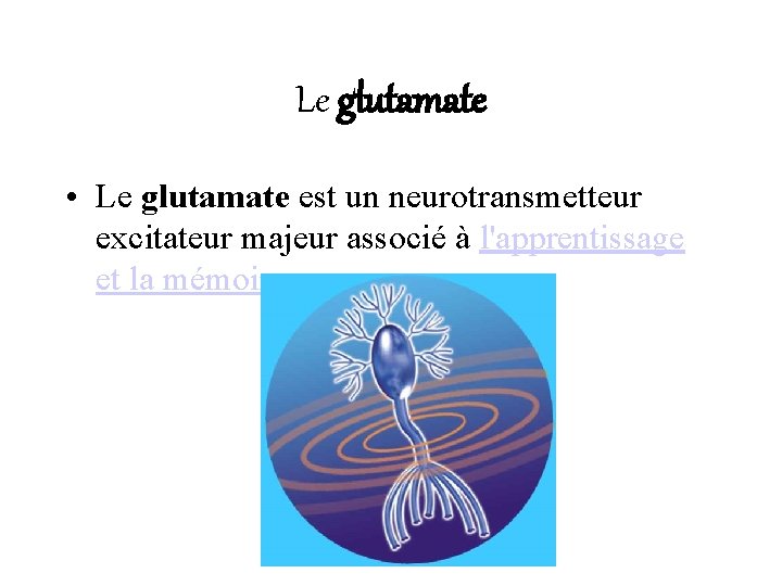 Le glutamate • Le glutamate est un neurotransmetteur excitateur majeur associé à l'apprentissage et