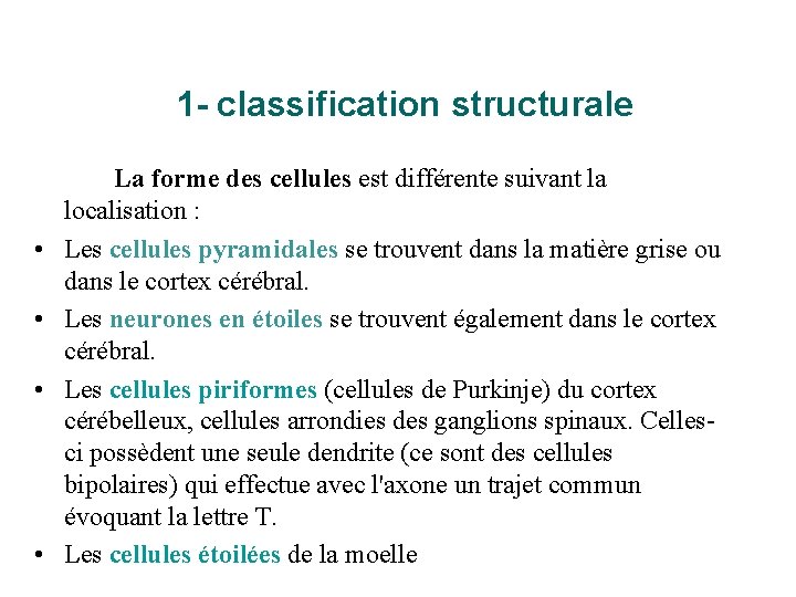 1 - classification structurale • • La forme des cellules est différente suivant la