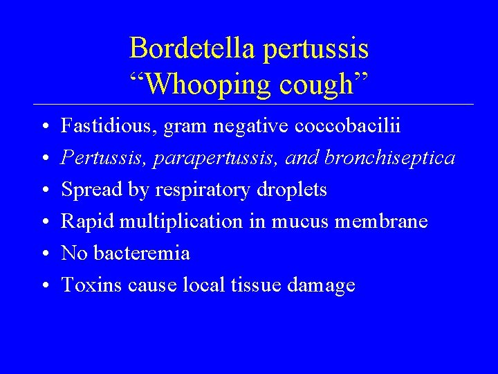 Bordetella pertussis “Whooping cough” • • • Fastidious, gram negative coccobacilii Pertussis, parapertussis, and
