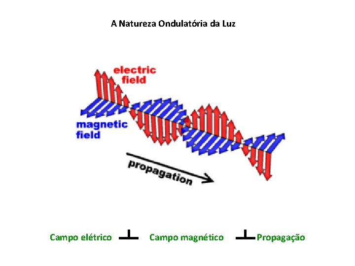 A Natureza Ondulatória da Luz Campo elétrico Campo magnético Propagação 