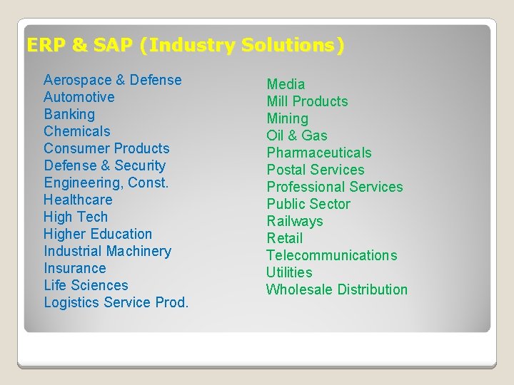 ERP & SAP (Industry Solutions) Aerospace & Defense Automotive Banking Chemicals Consumer Products Defense