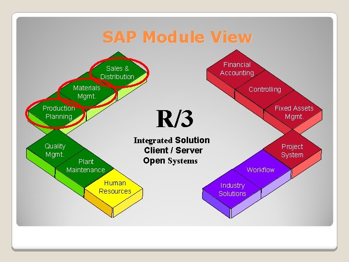 SAP Module View Financial Accounting Sales & Distribution Materials Mgmt. R/3 Production Planning Quality