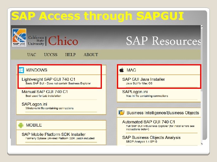 SAP Access through SAPGUI 