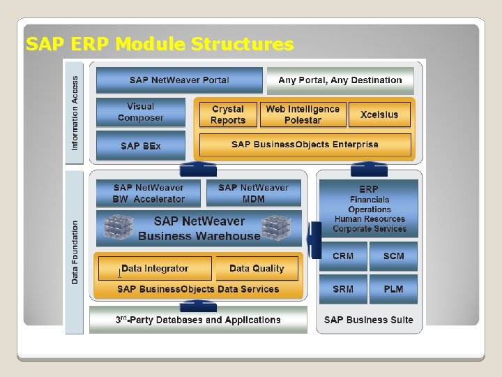 SAP ERP Module Structures 