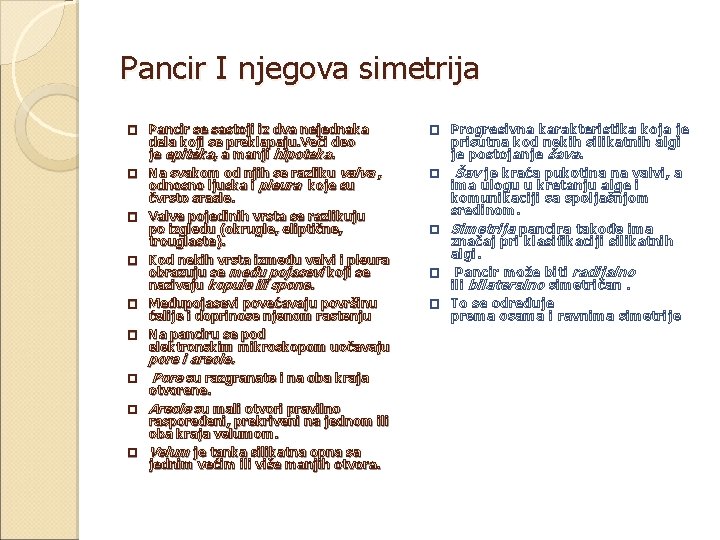 Pancir I njegova simetrija � � � � Pancir se sastoji iz dva nejednaka