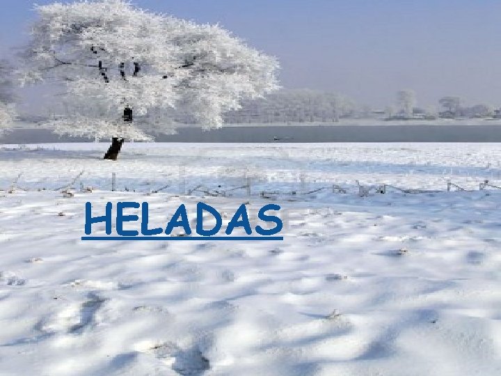 HELADAS 