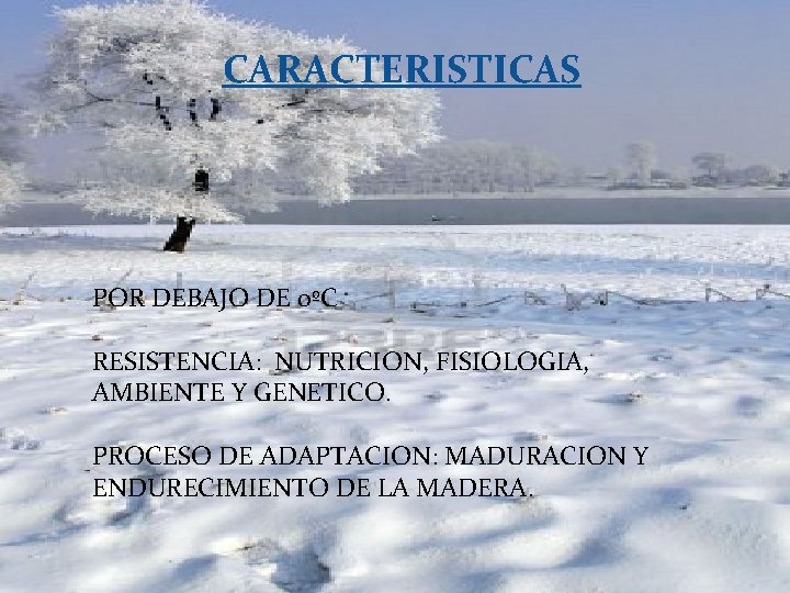 CARACTERISTICAS POR DEBAJO DE 0ºC RESISTENCIA: NUTRICION, FISIOLOGIA, AMBIENTE Y GENETICO. PROCESO DE ADAPTACION: