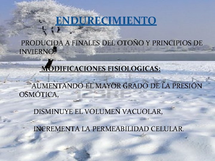 ENDURECIMIENTO PRODUCIDA A FINALES DEL OTOÑO Y PRINCIPIOS DE INVIERNO. MODIFICACIONES FISIOLOGICAS: AUMENTANDO EL