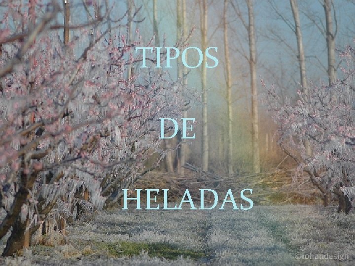 TIPOS DE HELADAS 