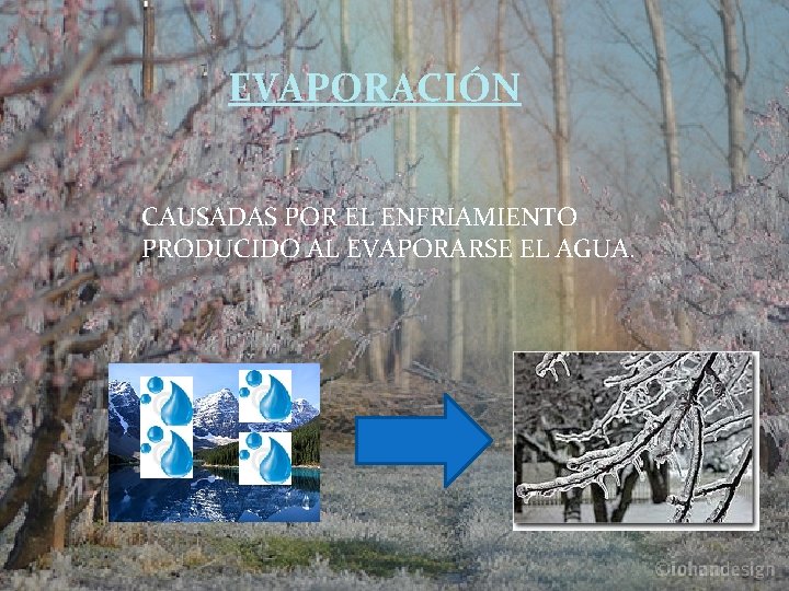 EVAPORACIÓN CAUSADAS POR EL ENFRIAMIENTO PRODUCIDO AL EVAPORARSE EL AGUA. 