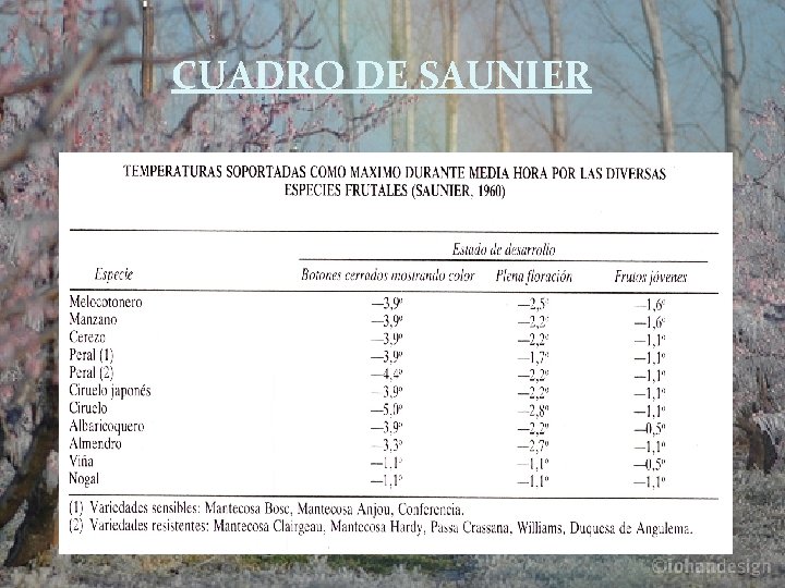 CUADRO DE SAUNIER 