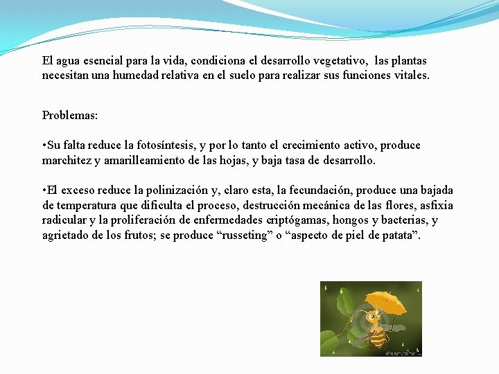 El agua esencial para la vida, condiciona el desarrollo vegetativo, las plantas necesitan una