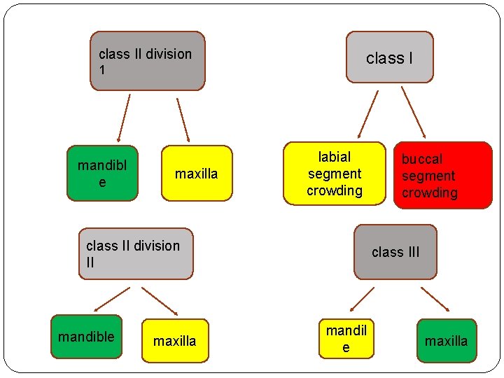 class II division class I 1 mandibl e maxilla labial segment crowding class II