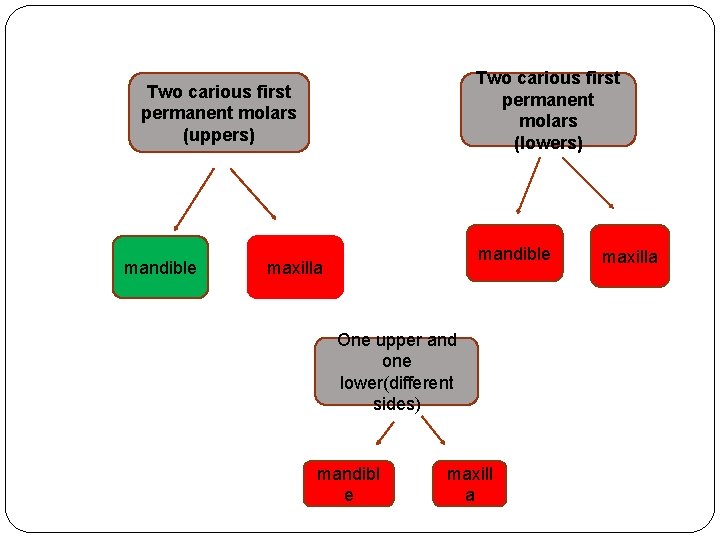 Two carious first permanent molars (lowers) Two carious first permanent molars (uppers) mandible maxilla