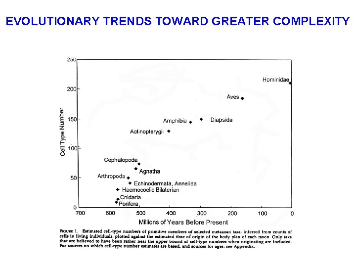 EVOLUTIONARY TRENDS TOWARD GREATER COMPLEXITY 