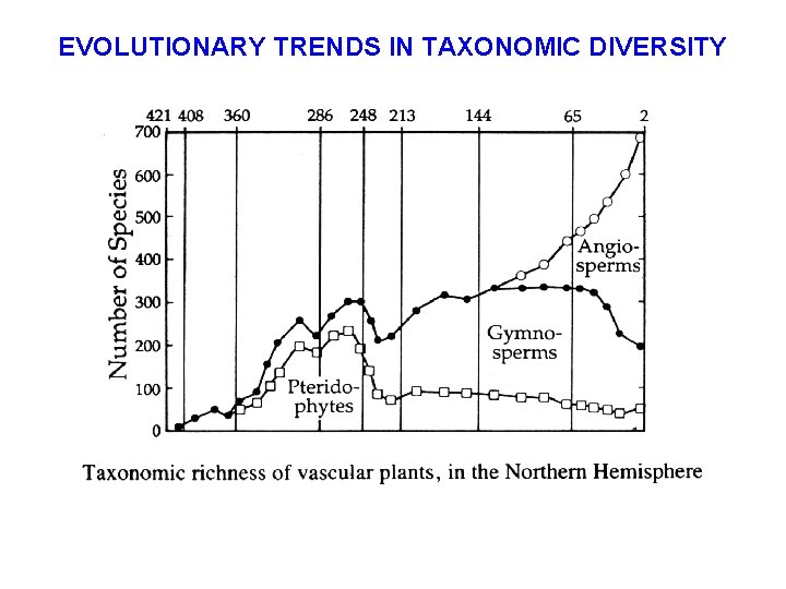 EVOLUTIONARY TRENDS IN TAXONOMIC DIVERSITY 