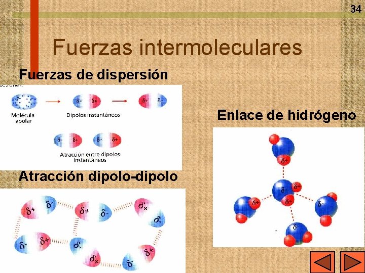 34 Fuerzas intermoleculares Fuerzas de dispersión Enlace de hidrógeno Atracción dipolo-dipolo 